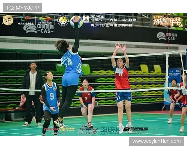 成都排球队在全国排球配合排行榜中荣获第四名展现强劲实力与团队默契