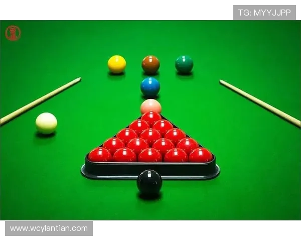 以台球为纽带探寻竞技与社交融合的魅力世界